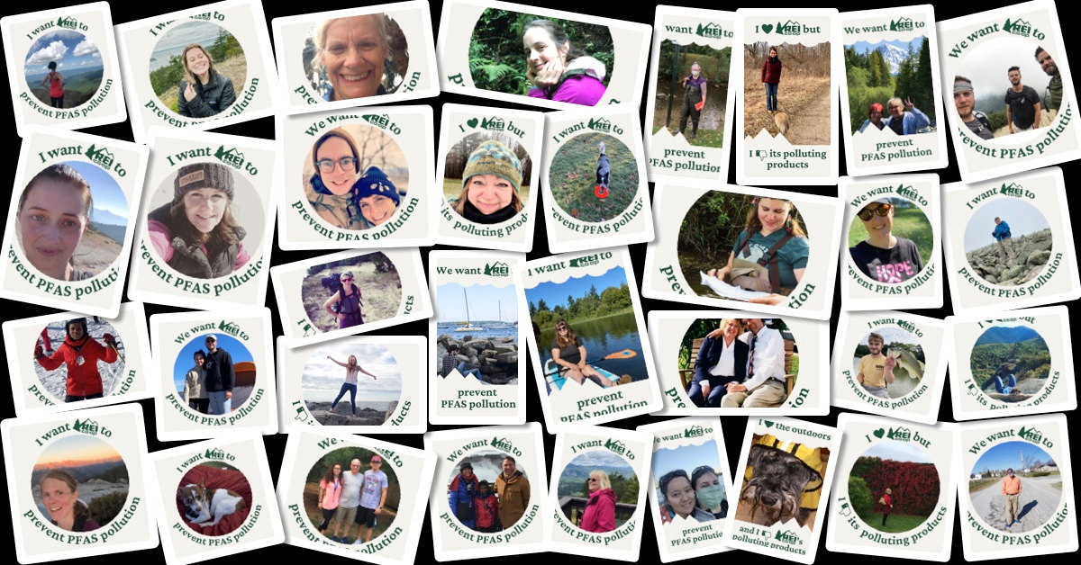 Collage of photos of REI members with frames asking REI to prevent PFAS pollution