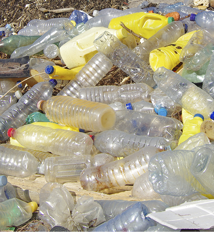 Rhode Island Bottles - Zero Waste 