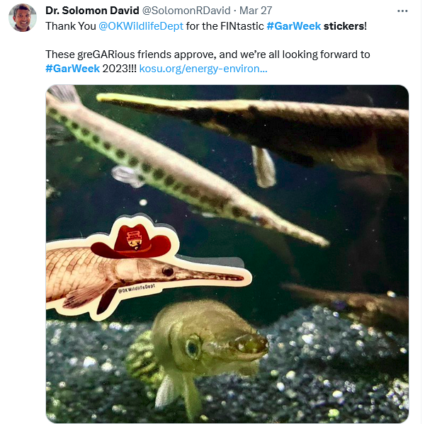 Tweet from Dr @SolomonDavid "Thank You @OKWildlifeDept  for the FINtastic #GarWeek stickers!  These greGARious friends approve, and we’re all looking forward to #GarWeek 2023!!" (picture of real gar with a gar sticker that has a cowboy hat)