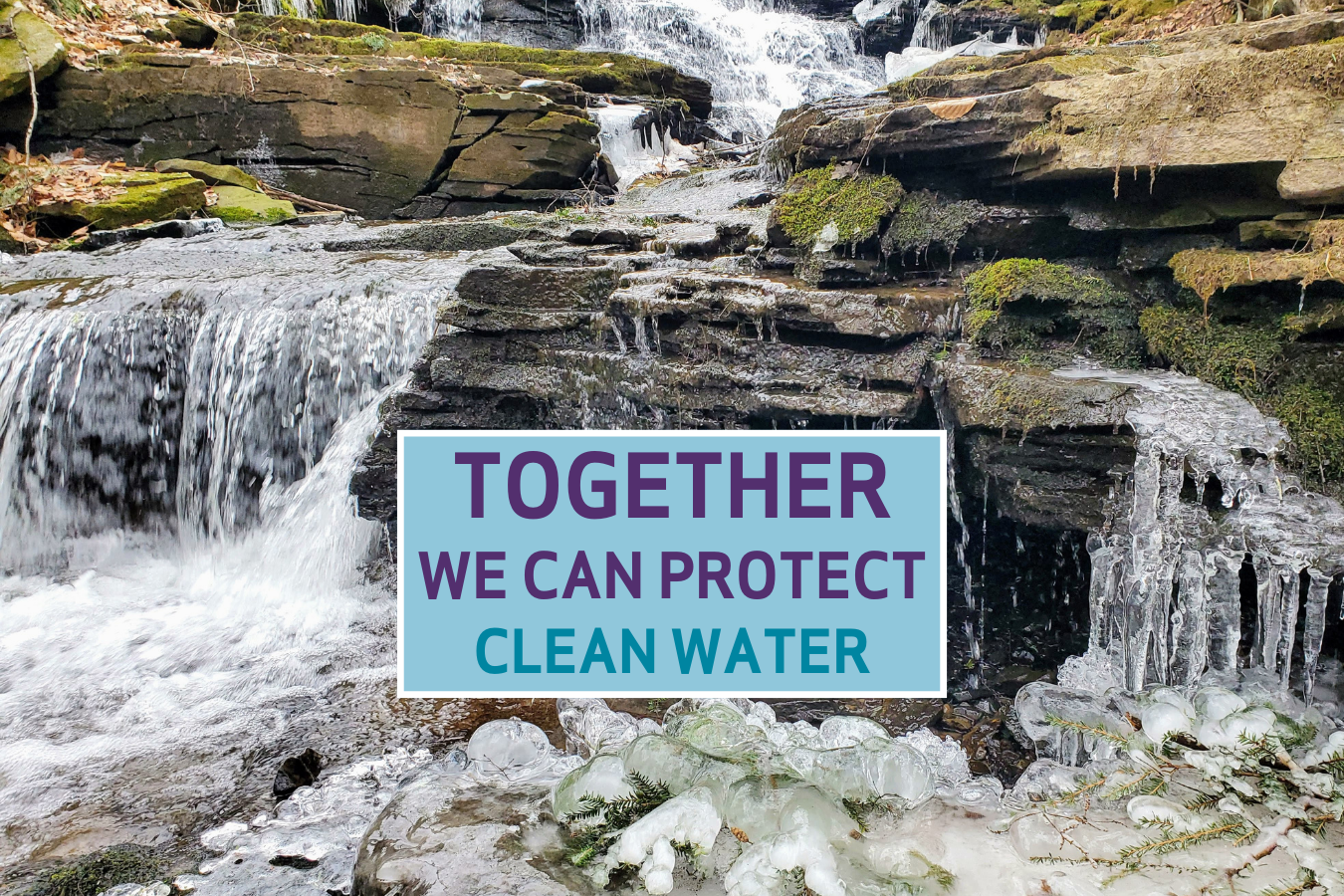Make a Special Gift to Protect Clean Water in New Jersey | Clean Water ...