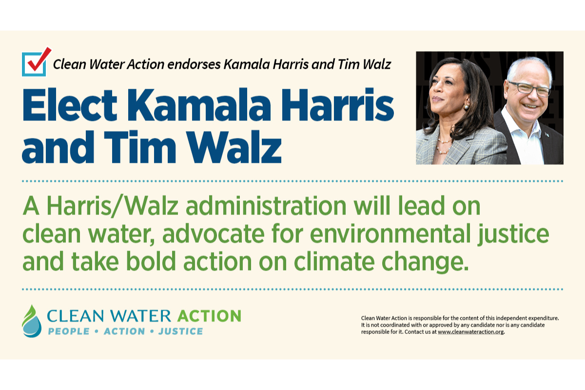 Harris-Walz Endorsement Graphic