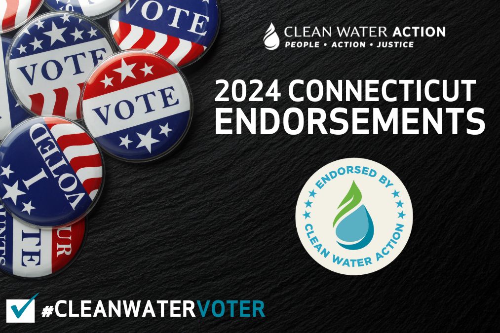 Graphic design with vote buttons and text that says Clean Water Action 2024 Connecticut Endorsements