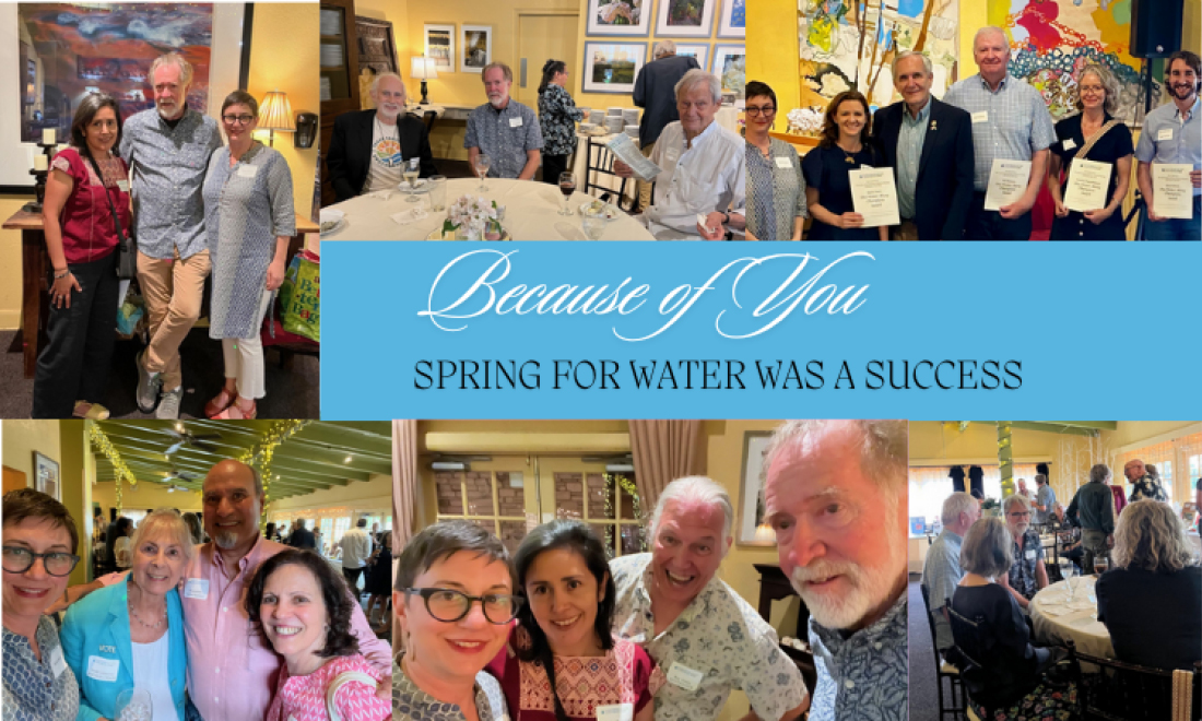 Spring for Water Texas Event