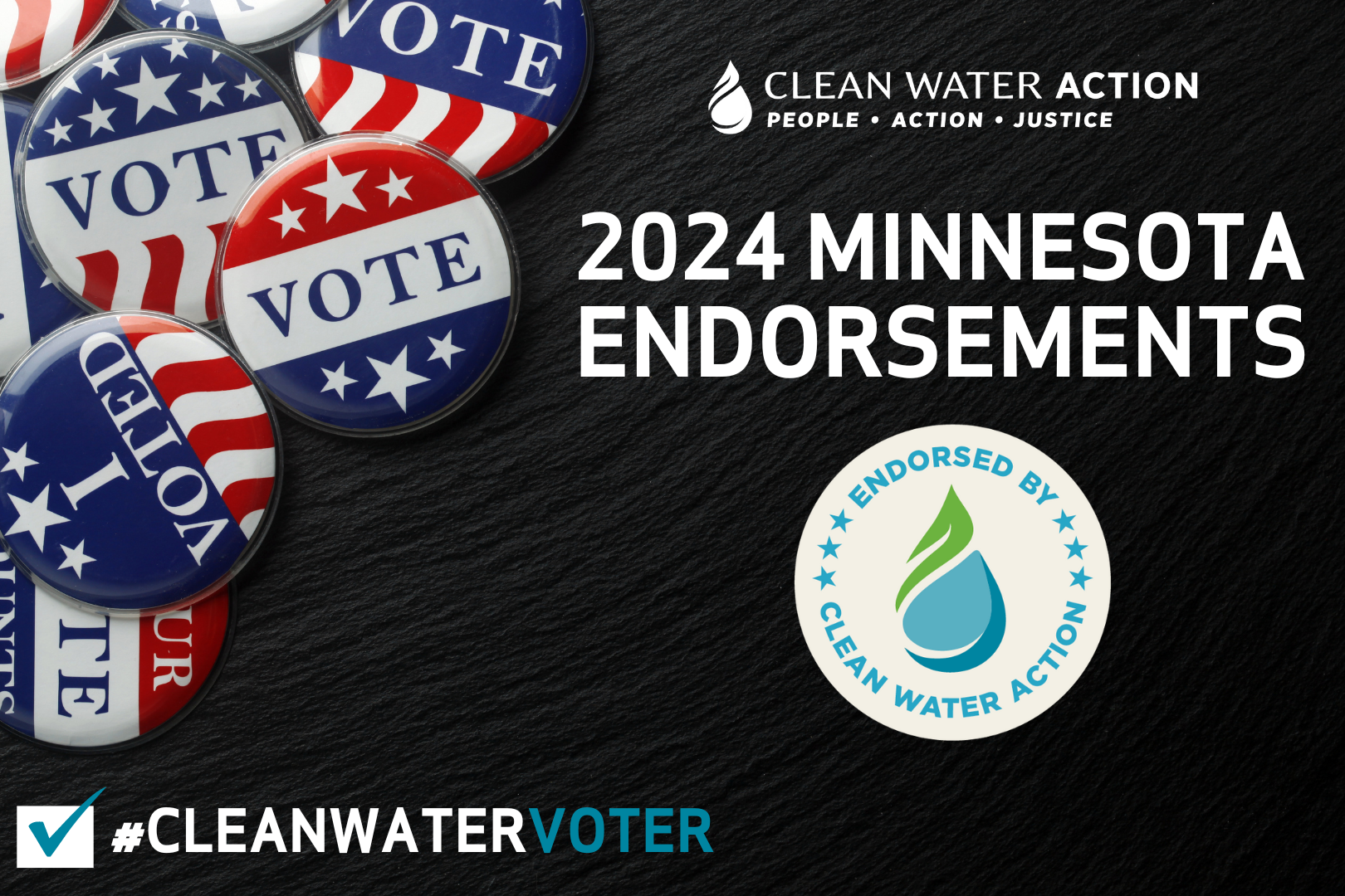 2024 Minnesota Endorsements