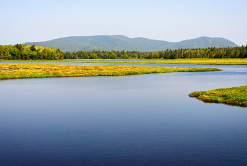 Natl. Wetlands