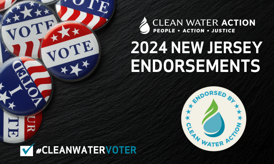 Graphic design with voting buttons that says 2024 Clean Water Action NJ Endorsements