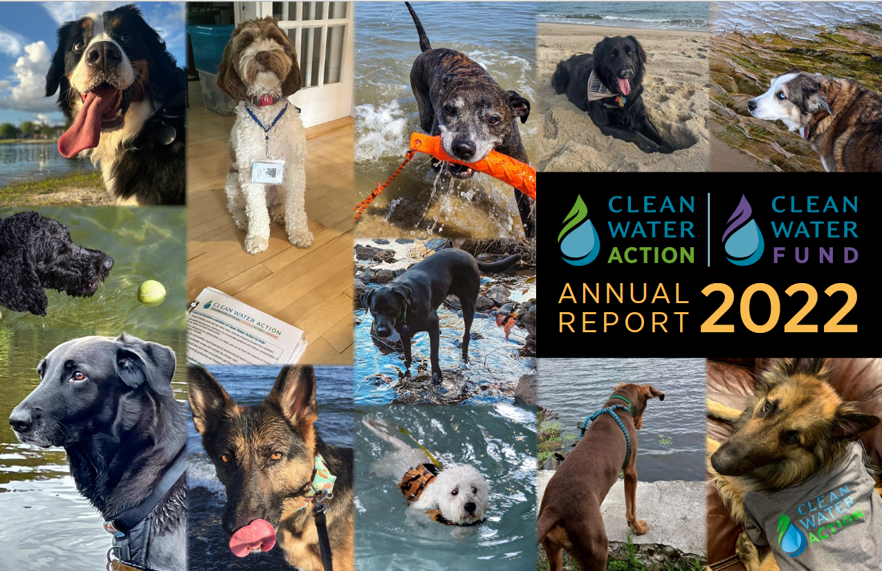 Clean Water Action | Clean Water Fund Annual Report 2022