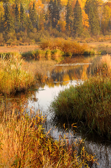 National Wetlands