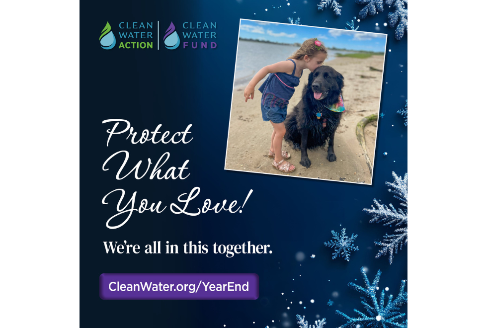 Graphic design that says Protect What You Love Make a year end gift today with an image of a child kissing a dog on the beach