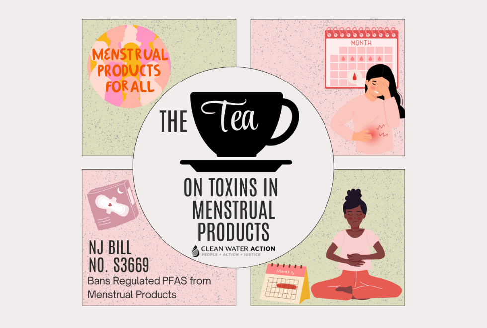 Graphic design for the tea on toxins in menstrual products