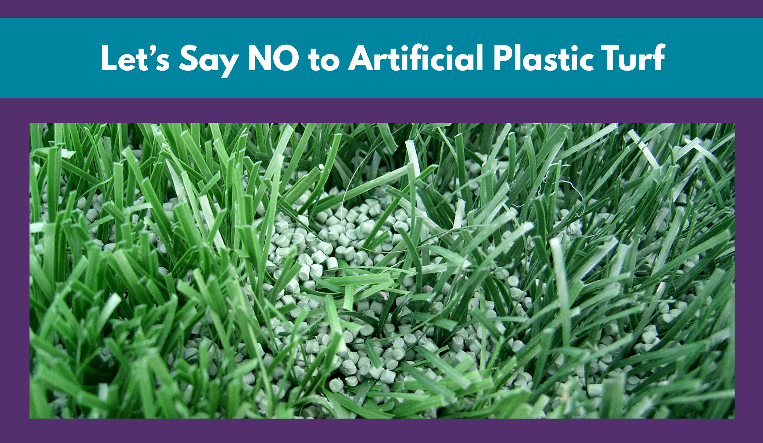 Let's Say No to Artificial Plastic Turf