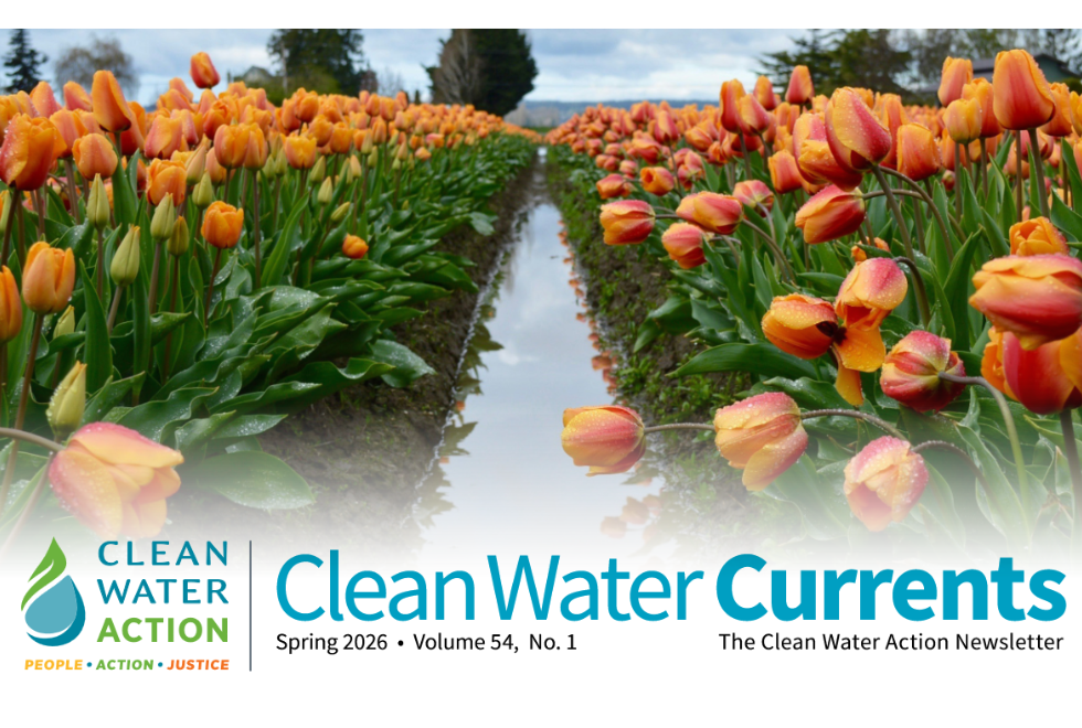 Spring 2026 Currents Header with bed of tulips