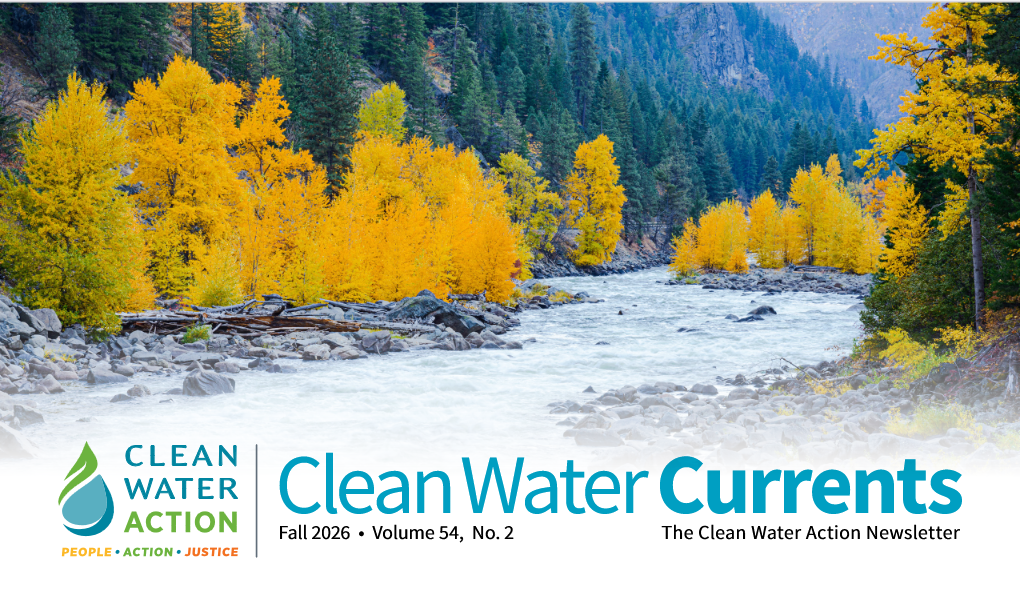 Currents Fall Newsletter Header