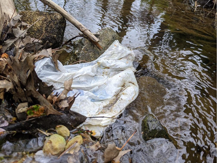 Plastic bag near a stream