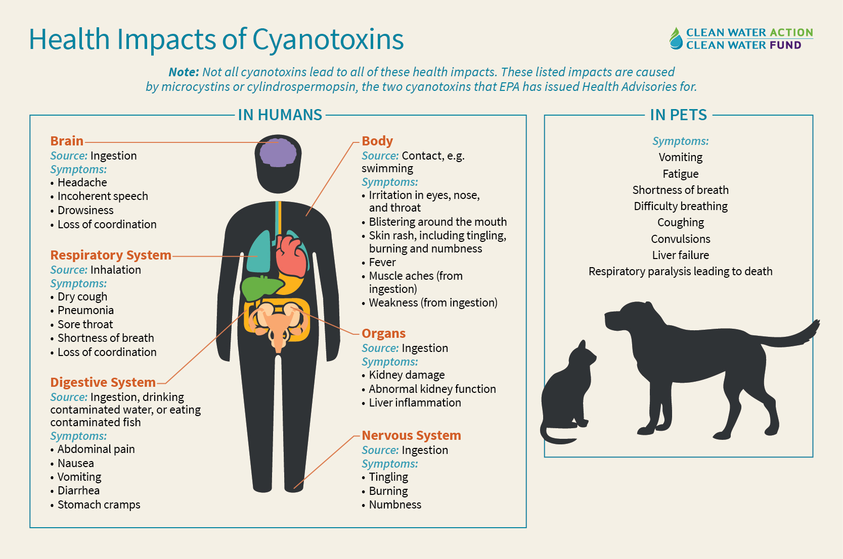 The Health Impacts of Cyanotoxins - Clean Water Action