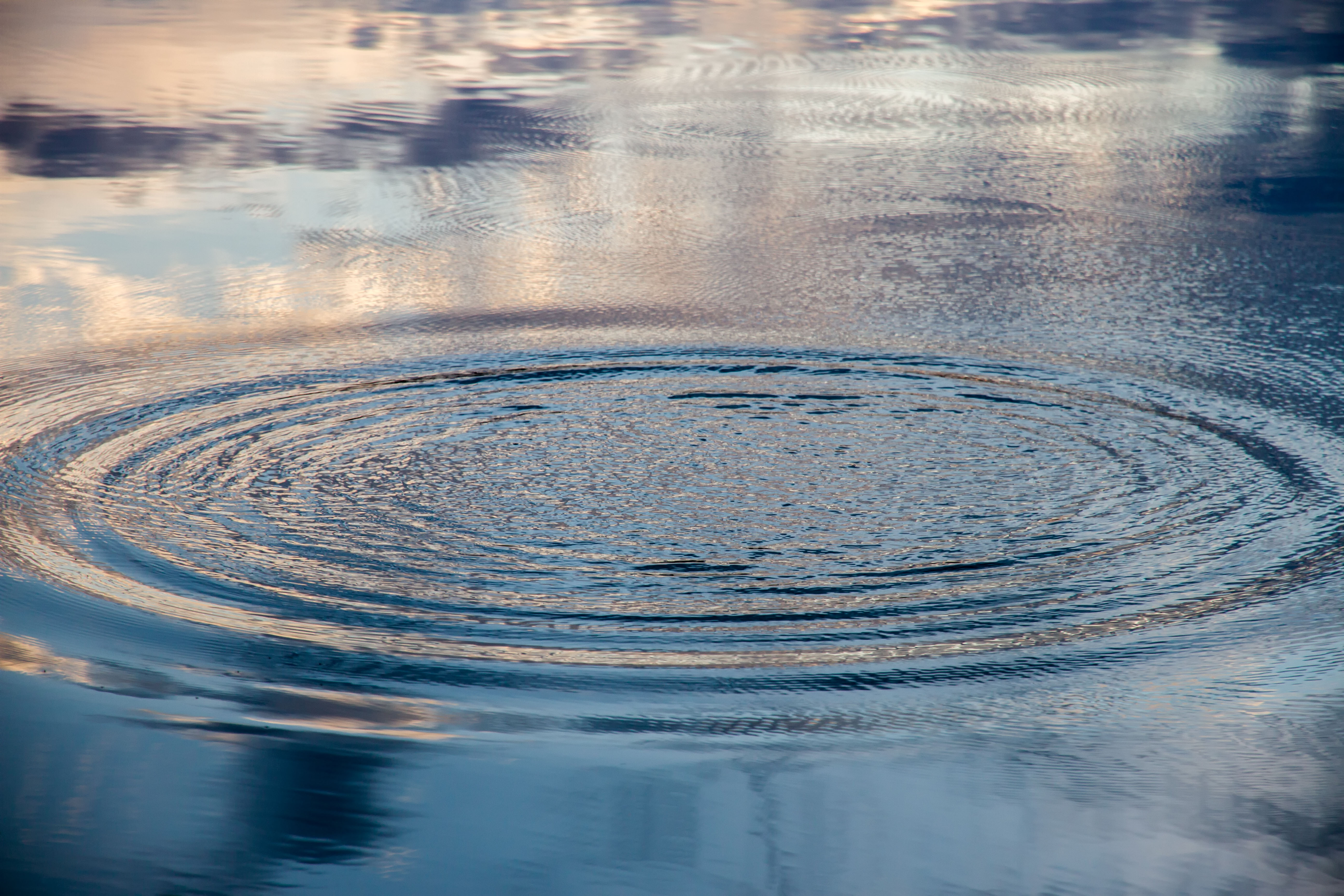 Ripples on the surface of the water. Credit: 2xWilfinger / Shutterstock