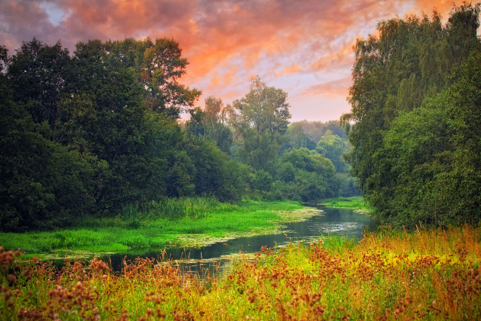 Pink Sky, a stream in a forest. Photo credit: Julia Shepeleva / Shutterstock