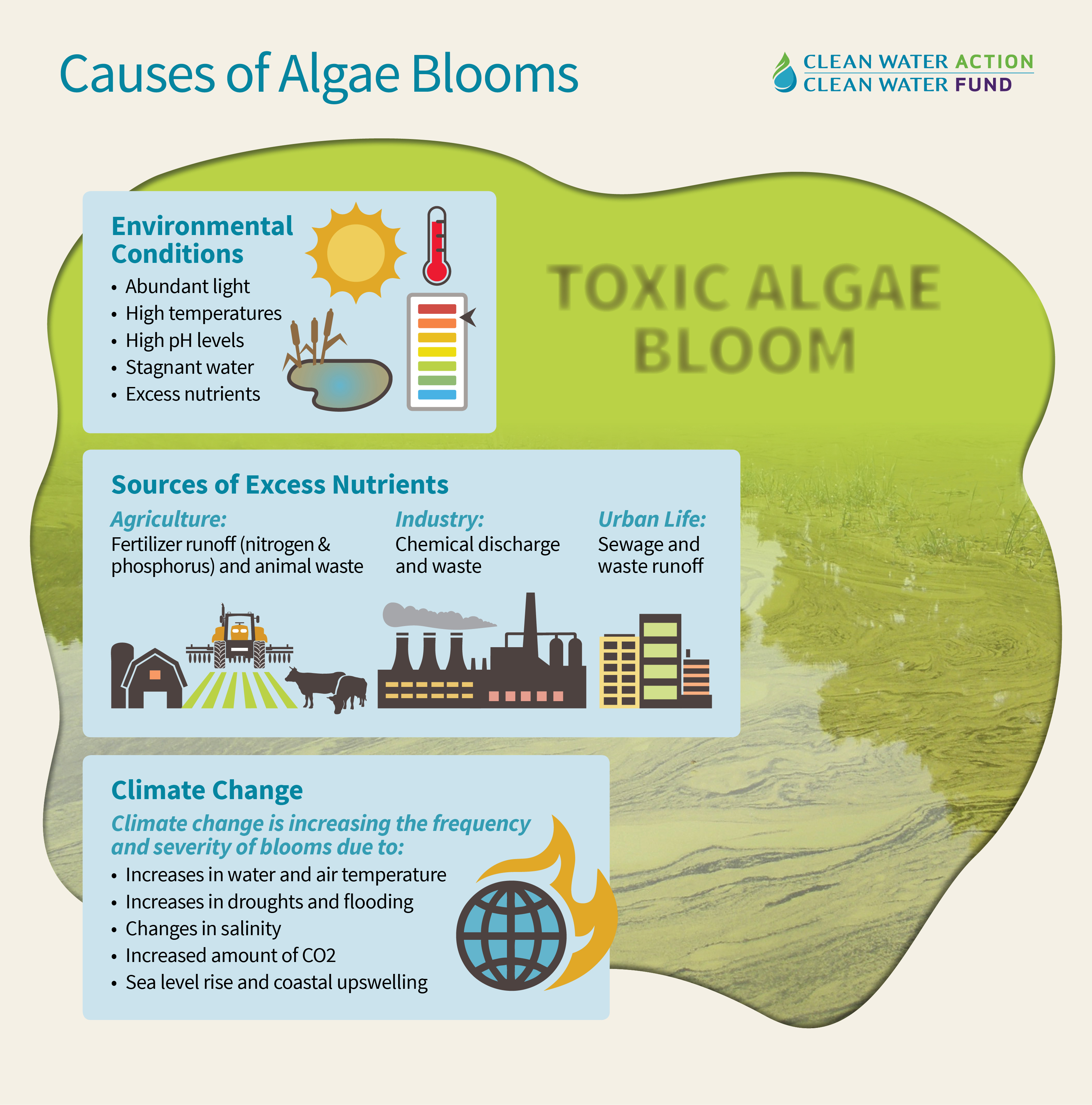 What causes harmful algal blooms - Clean Water Action