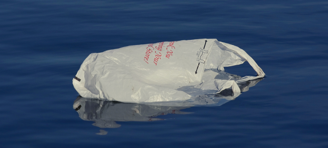 Plastic bag floating on water
