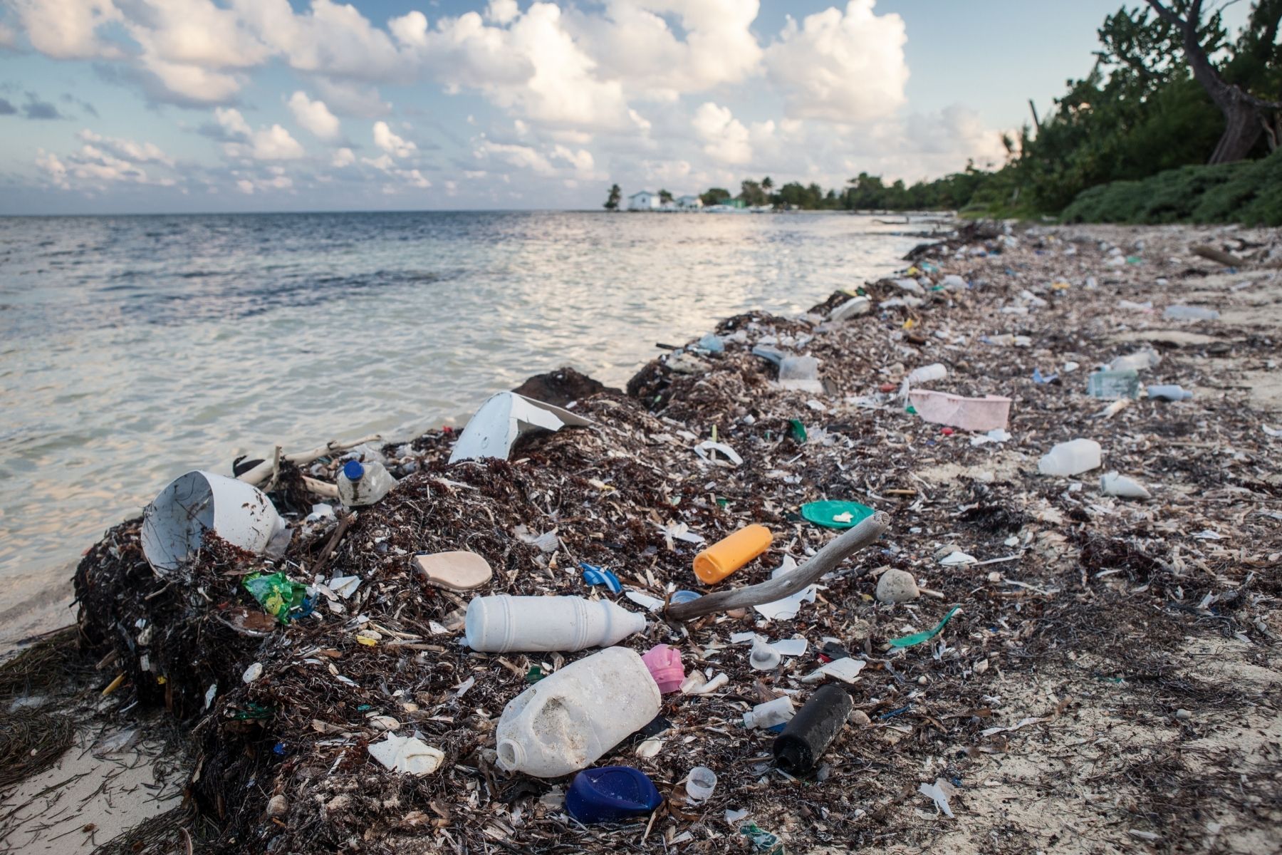 The Problem of Marine Plastic Pollution | Clean Water Action