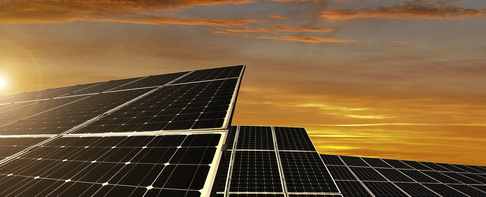 Solar panels, sunset. Photo credit: vencavolrab / iStock