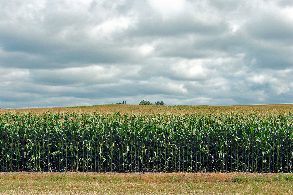 Minnesota Currents -- June 2019 | Clean Water Action
