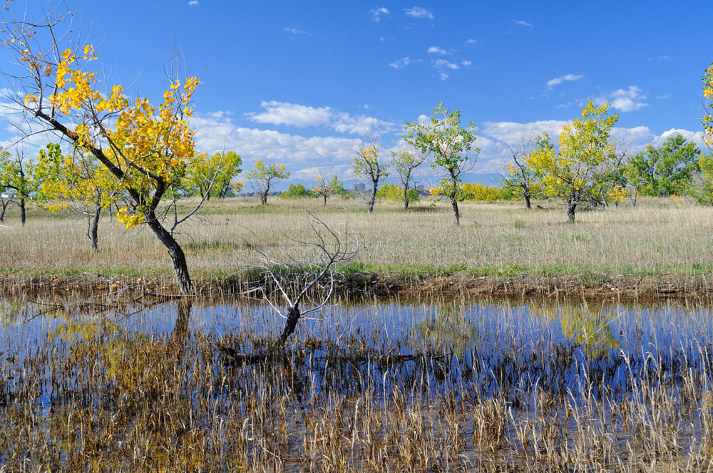 March at Cherry Creek State Park - Credit: Sharon / Creative Commons