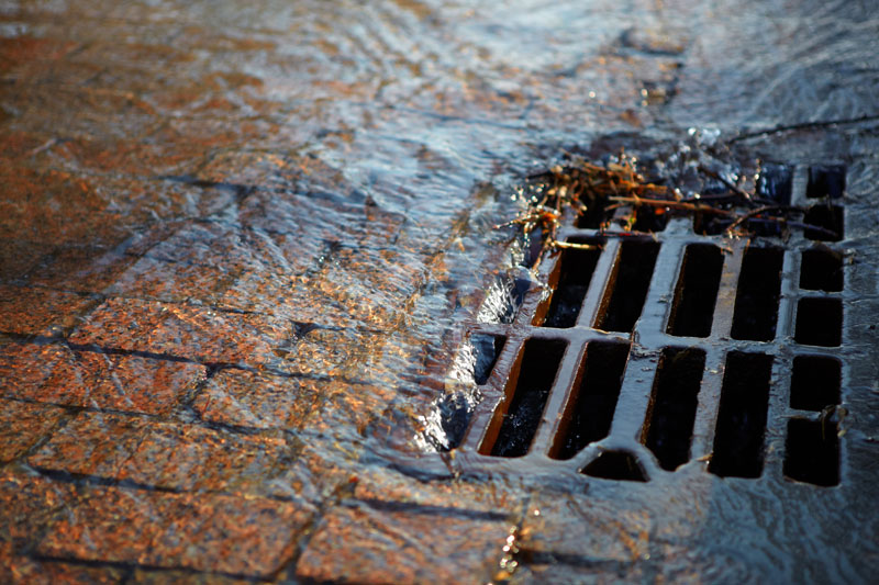 Street drain, stormwater runoff. Photo credit: Abramov Timur / Shutterstock