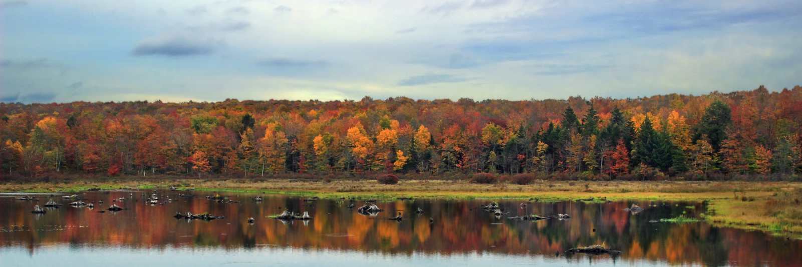 Pennsylvania Lake reflecting fall colors from trees above. Flickr via nicholas_t Public Domain