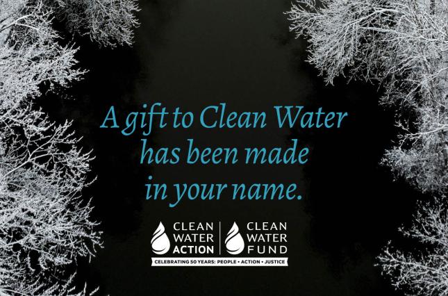 A gift to Clean Water has been made in your name