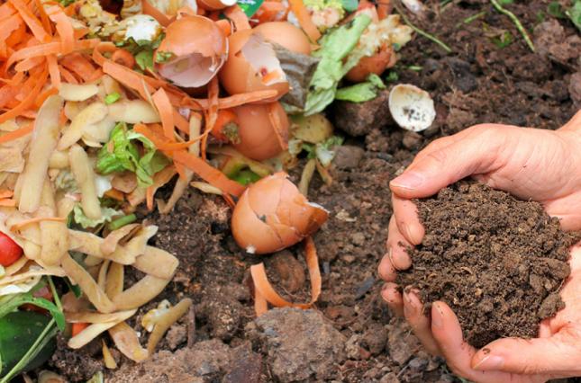 Maryland Composting