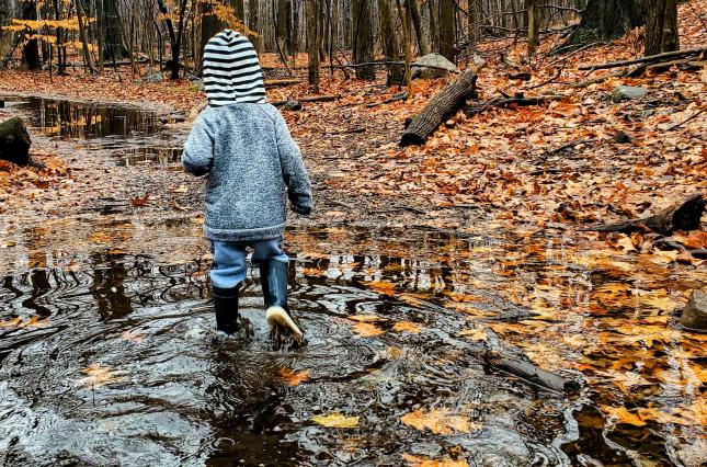 Image of a kid walking in water with fall leaves. Photo by Kerry Doyle.