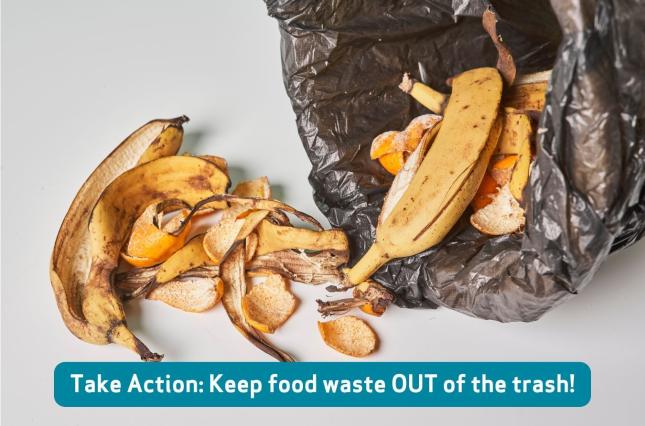 Image of food waste with text that says Take Action: Keep food waste out of the trash