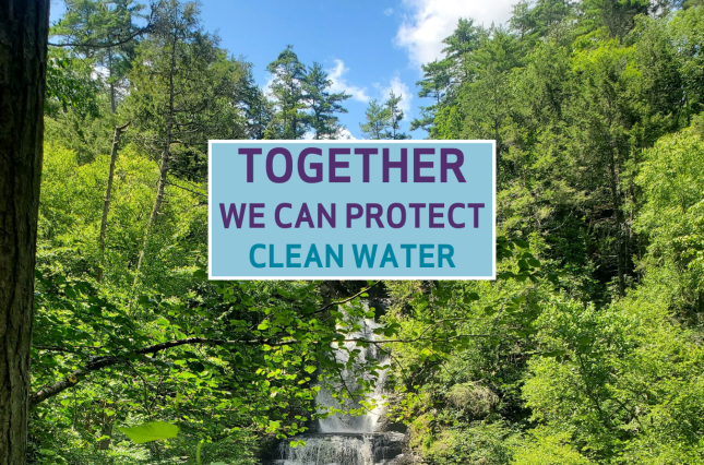 Picture of a waterfall in sunny summer woods. Text reads: Together we can protect clean water.