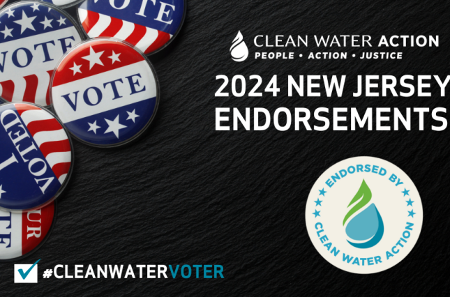 Graphic design with voting buttons that says 2024 Clean Water Action NJ Endorsements