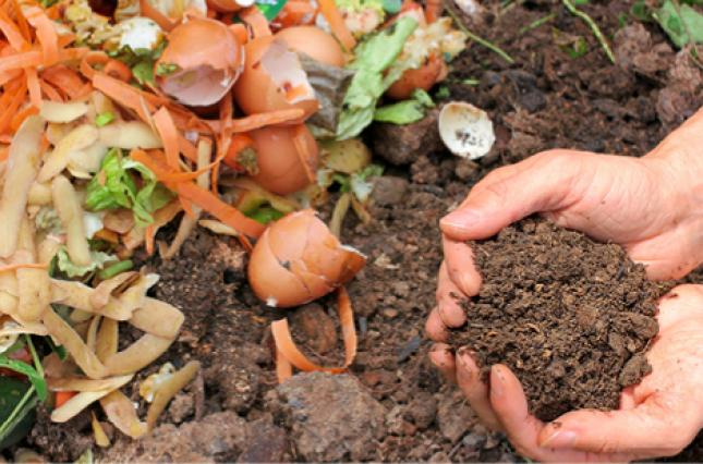 composting
