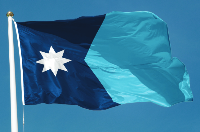 Minnesota State Flag