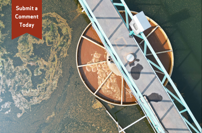 Polluted wastewater in a treatment plant