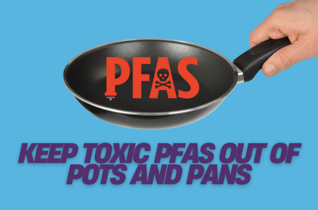 keep PFAS out of pans