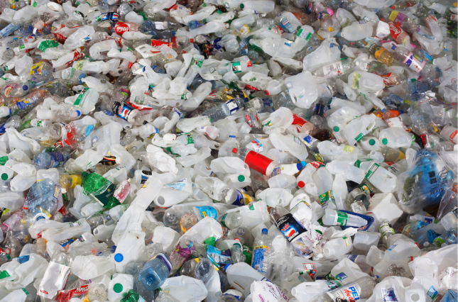 photo of plastic bottles - canva image