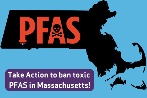 Graphic design for Clean Water Action's PFAS ban campaign