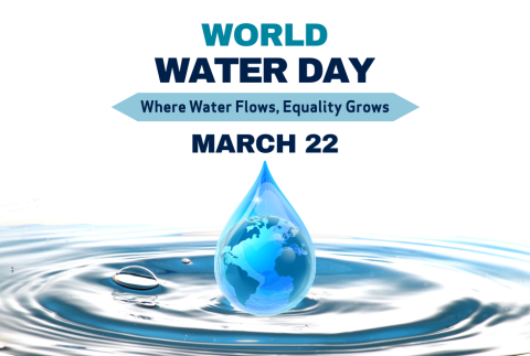 Droplet of water going into bigger puddle of water - world water day