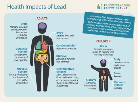 Health Impacts of Lead - graphic
