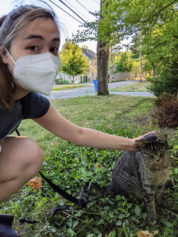 RI-Sofia Yee-Wadsworth-canvassing image with cat