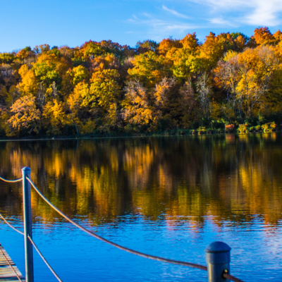 Dock leading into blue water with classic fall colors on the leaves along the water edge