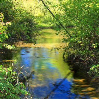 Spring Creek in PA