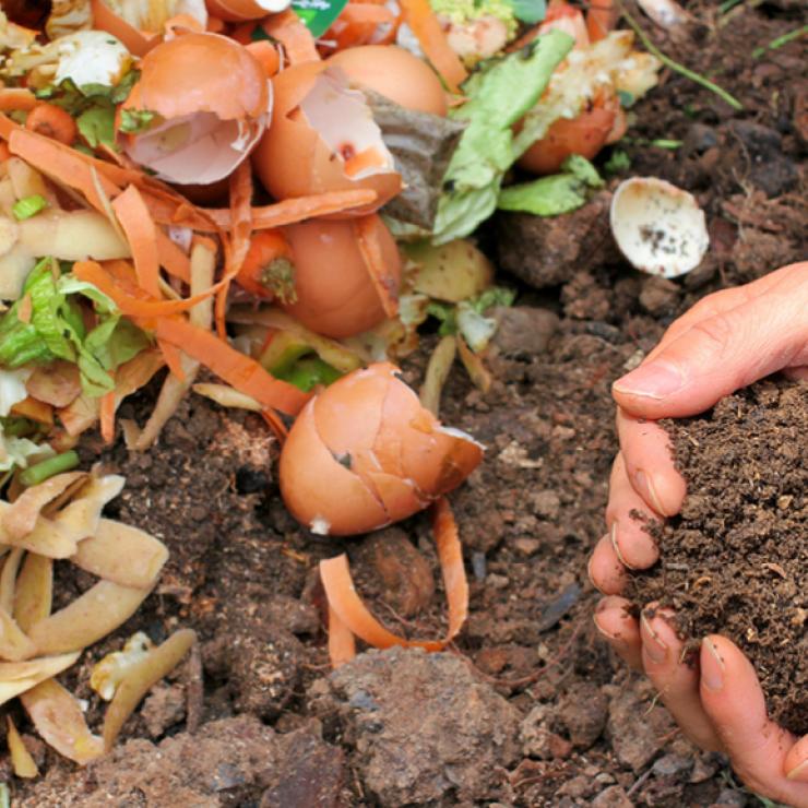 Maryland Composting