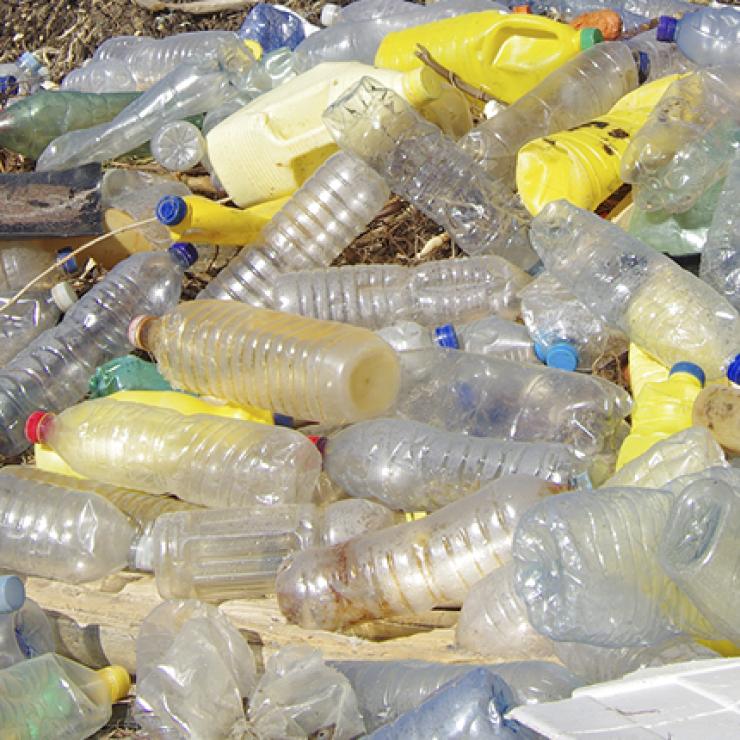 Rhode Island Bottles - Zero Waste 