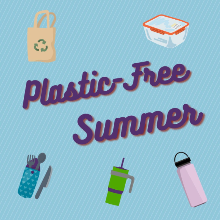 Graphic design that says Plastic Free Summer with images of Reusables