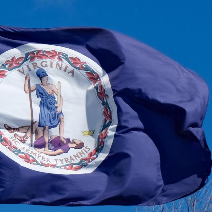 Photo of Virginia state flag